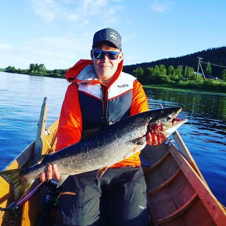 Arctic Camping Finland Otel Pello Dış mekan fotoğraf